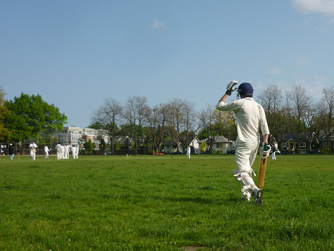 Green Initiatives in Cricket Stadiums: Towards Eco-Friendly Venues